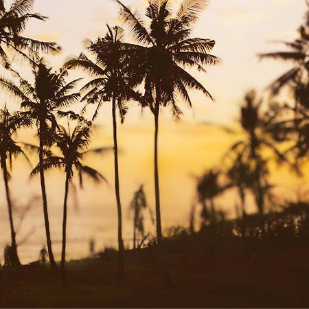 Amour At Turtle Beach Tangalle Exterior photo